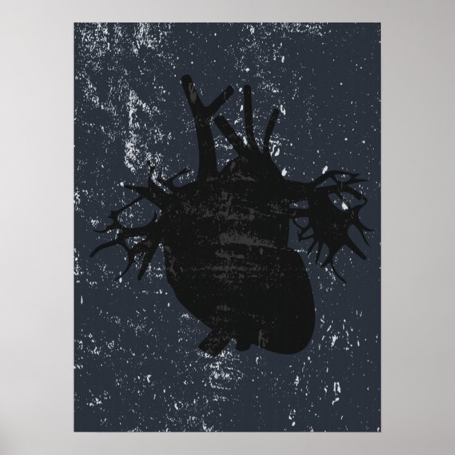 Póster Anatomía cardíaca poster de la pared de la calle (Frente)