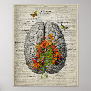 Póster Anatomía cerebral con mariposas y flores