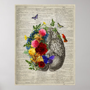 Póster Anatomía cerebral Flores Hummingbird Mariposas