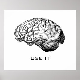 Póster Anatomía cerebral - Úsalo