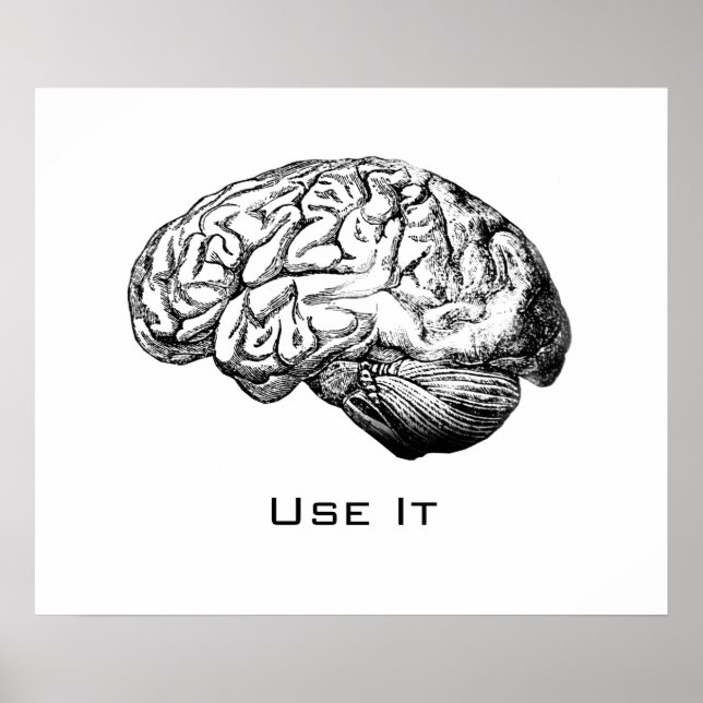 Póster Anatomía cerebral - Úsalo (Frente)