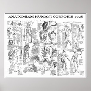 PÓSTER ANATOMÍA CORPORAL HUMANA 1728