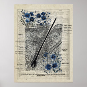 Póster Anatomía de la piel Floral azul Vintage Diccionari