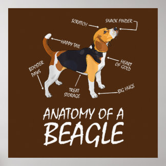 Póster Anatomía De Los Amantes De Un Perro Beagle