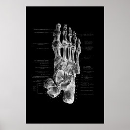 Póster Anatomía de pies Podiatrista Muro médico Decoració