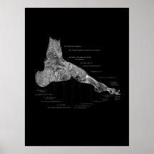 Anatomía de pies Podiatrista regalo Muro médico De