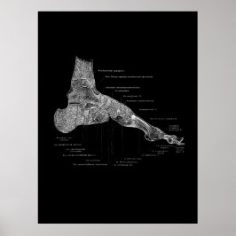 Póster Anatomía de pies Podiatrista regalo Muro médico De