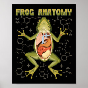 Póster Anatomía de rana de rana Disección de biología anf