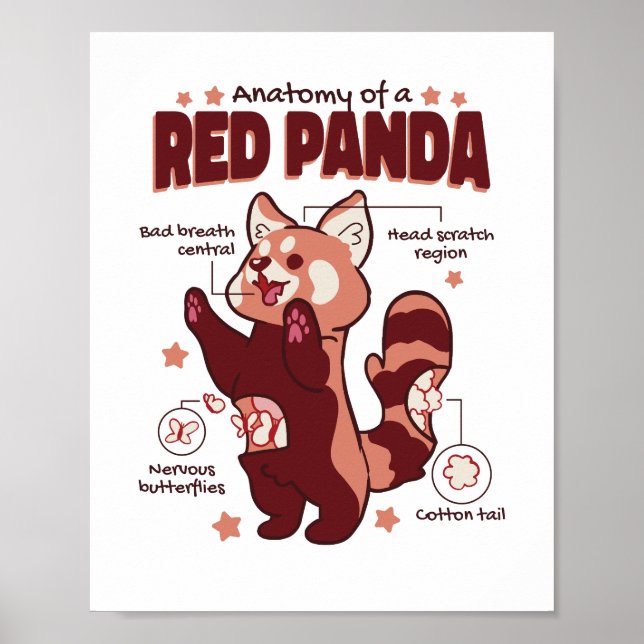 Póster Anatomía de un amante de los animales del Panda Ro (Frente)