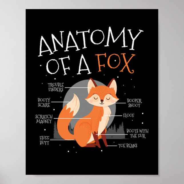 Póster Anatomía De Un Animal De La Selva Fox Cute (Frente)