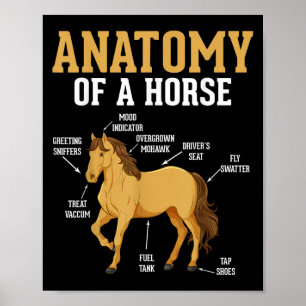 Póster Anatomía De Un Caballo Divertido Ecuestre Neigh Lo