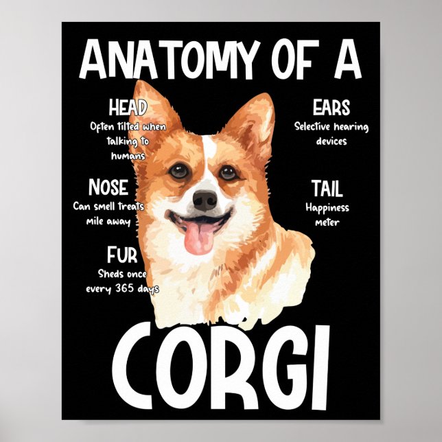 Póster Anatomía De Un Corgi Para Los Amantes Del Perro (Frente)