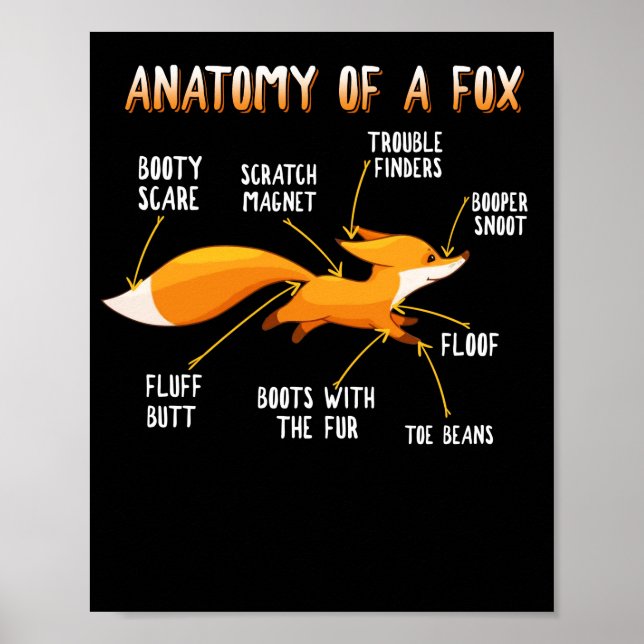 Póster Anatomía De Un Dulce De Fox Cute Carnivore (Frente)