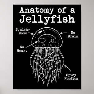 Póster Anatomía de un fideo picante de medusa divertida m