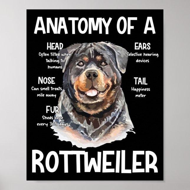 Póster Anatomía De Un Rottweiler Para Los Amantes Del Per (Frente)