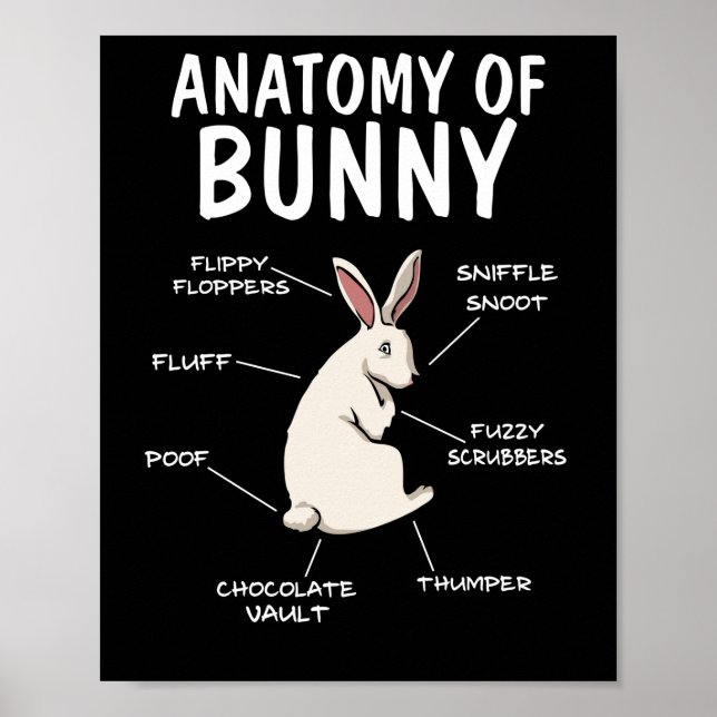 Póster Anatomía de una definición de conejo divertida (Frente)