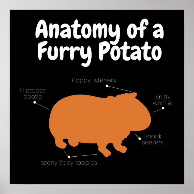 Póster Anatomía De Una Patata De Mugre | Cerdo de Guinea  (Frente)