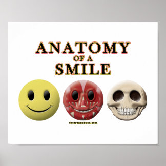 Póster Anatomía de una sonrisa