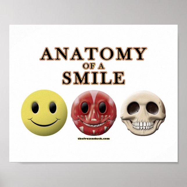 Póster Anatomía de una sonrisa (Frente)