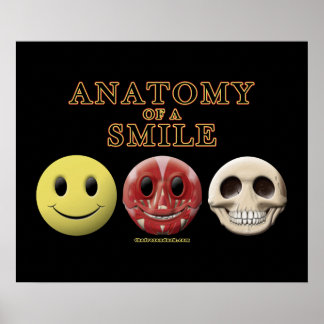 Póster Anatomía de una sonrisa