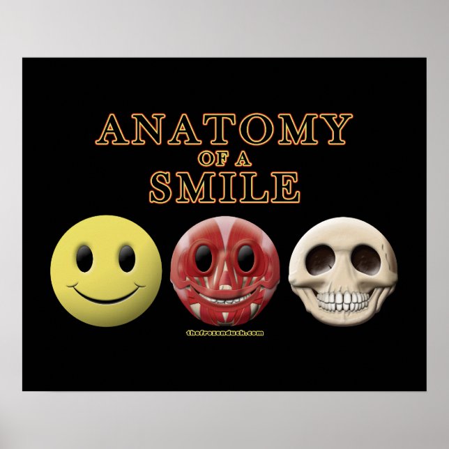 Póster Anatomía de una sonrisa (Frente)