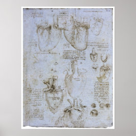 Póster Anatomía del corazón humano, Leonardo da Vinci