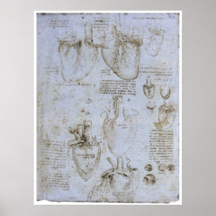 Póster Anatomía del corazón humano, Leonardo da Vinci