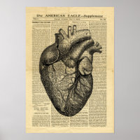 Anatomía del corazón humano poster en el periódico