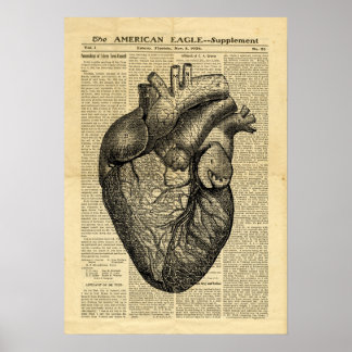 Póster Anatomía del corazón humano poster en el periódico