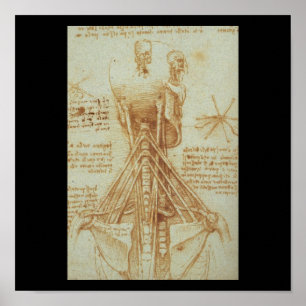 Póster Anatomía del cuello de Leonardo da Vinci C. 1515