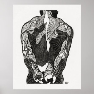 Póster Anatomía del hombre 5