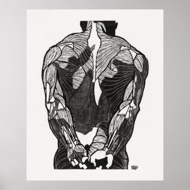 Póster Anatomía del hombre 5 (Frente)