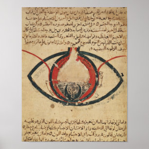 Póster Anatomía del ojo, de un libro en enfermedades