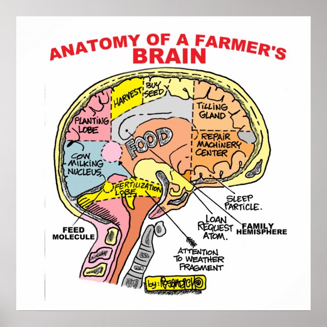 PÓSTER ANATOMÍA DEL POSTER CEREBRAL DE UN AGRICULTOR (Frente)