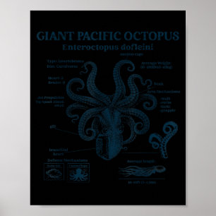 Póster anatomía del pulpo gigante del pacífico océano mar