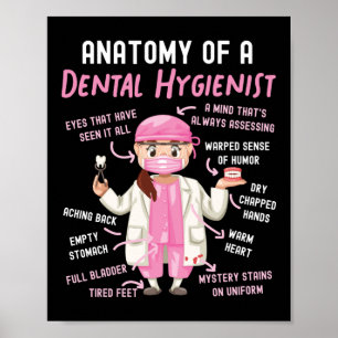 Póster Anatomía Dental Higiénica Dental De Un Dental