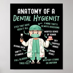 Póster Anatomía Dental Higiénica Dental De Un Dental
