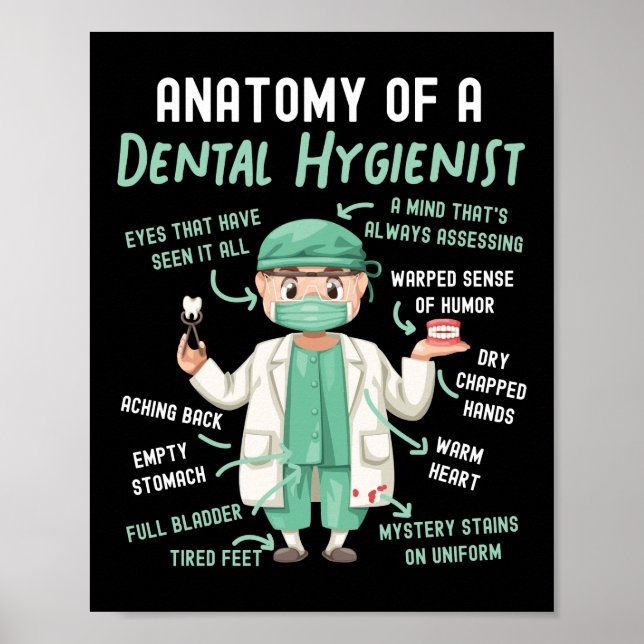 Póster Anatomía Dental Higiénica Dental De Un Dental (Frente)