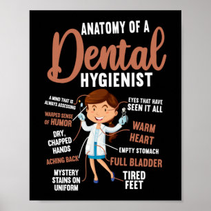 Póster Anatomía Dental Higiénica Dental De Un Dental