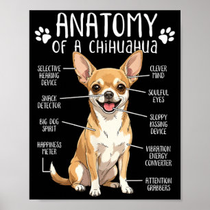 Póster Anatomía Divertida de Chihuahua de un Dueño de Per