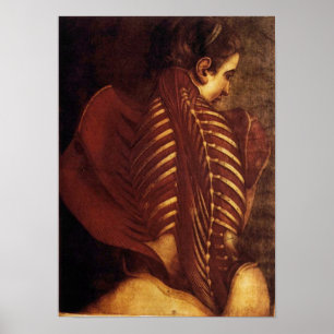 Póster Anatomía/esquelético del poster de la parte