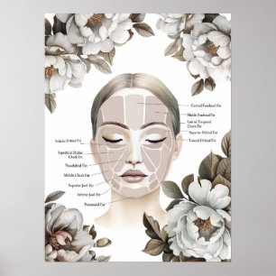 Póster Anatomía facial almohadilla de grasa facial con fl