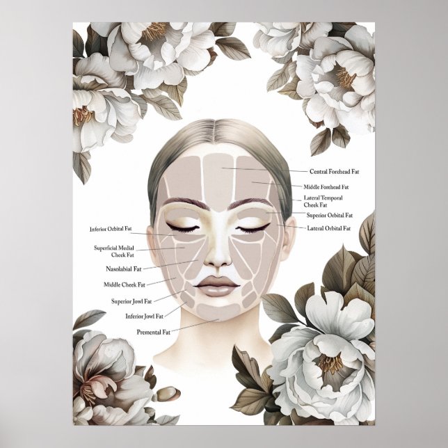 Póster Anatomía facial almohadilla de grasa facial con fl (Frente)