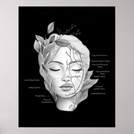 Póster Anatomía facial con vasos sanguíneos