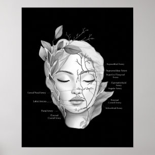 Póster Anatomía facial con vasos sanguíneos