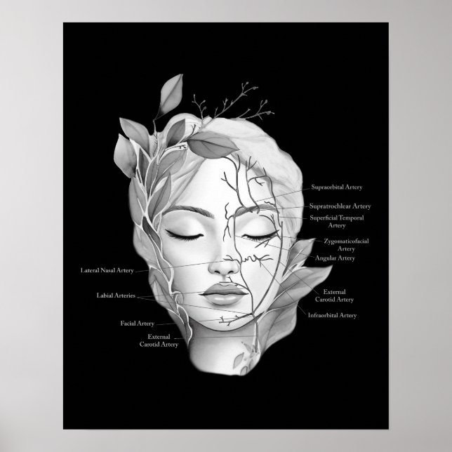 Póster Anatomía facial con vasos sanguíneos (Frente)