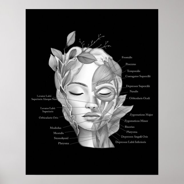 Póster Anatomía facial Músculos faciales Med Spa Decor (Frente)
