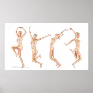Póster Anatomía femenina