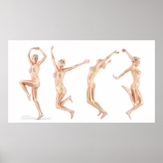 Póster Anatomía femenina