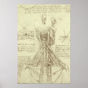 Póster Anatomía Humana Columna Vertebral por Leonardo da